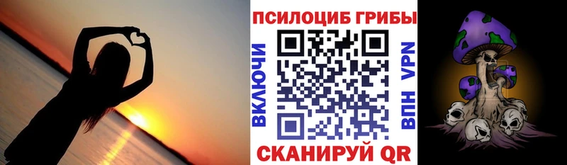 Галлюциногенные грибы Psilocybe  Красновишерск 